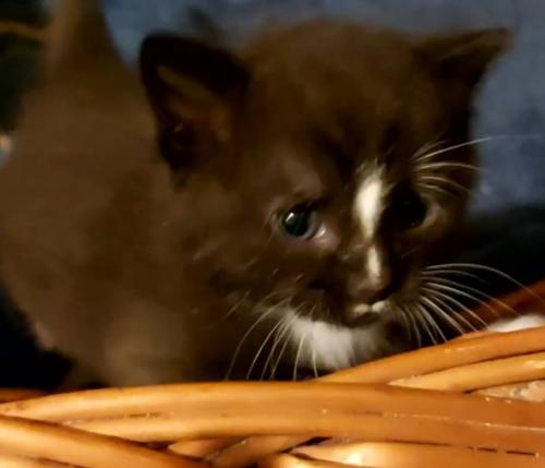 VideoCapture 20220809-131431