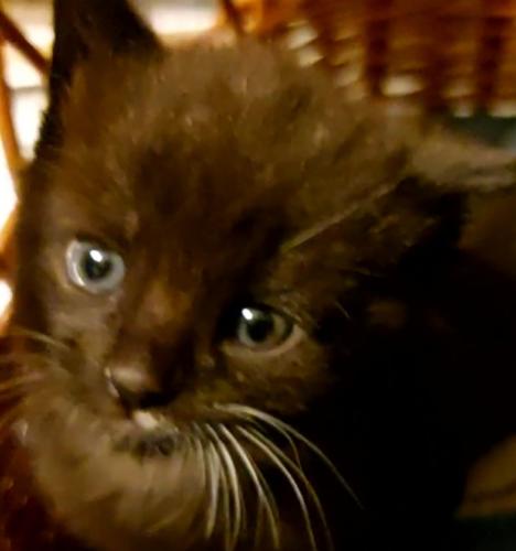 VideoCapture 20220809-131456 (1)