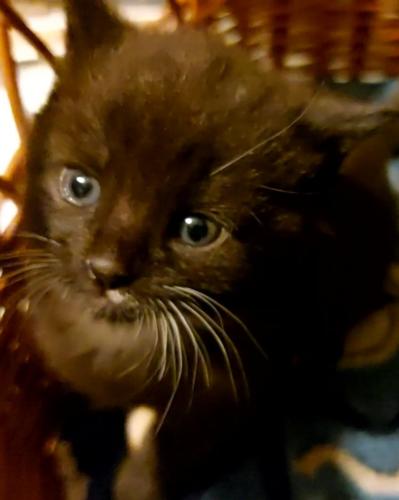 VideoCapture 20220809-131502 (1)