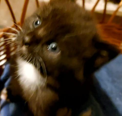 VideoCapture 20220809-131518