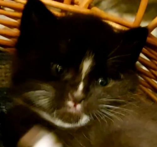 VideoCapture 20220809-131651