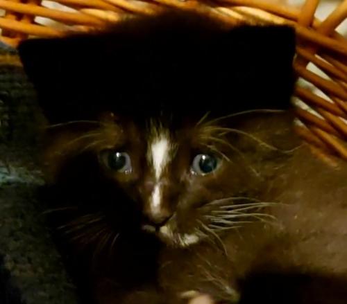 VideoCapture 20220809-131707