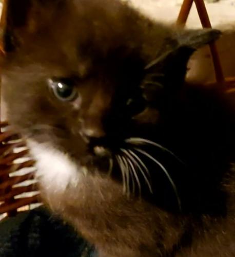 VideoCapture 20220809-132220