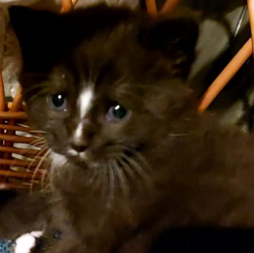 VideoCapture 20220809-132259