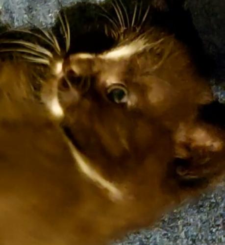 VideoCapture 20220809-132444