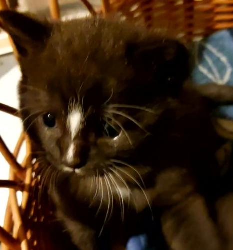 VideoCapture 20220809-132701