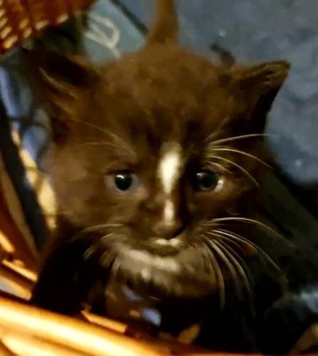 VideoCapture 20220809-132734