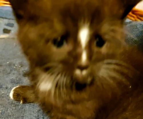 VideoCapture 20220809-133010