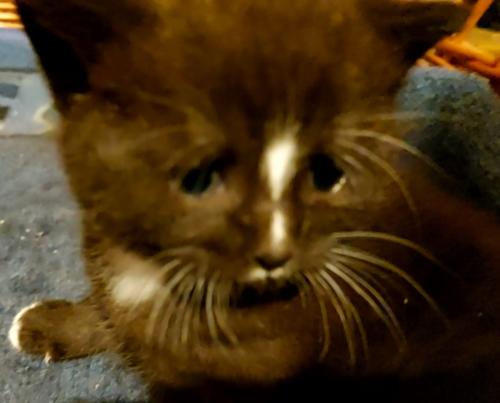 VideoCapture 20220809-133112