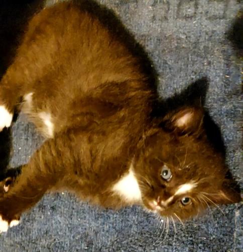 VideoCapture 20220809-133141