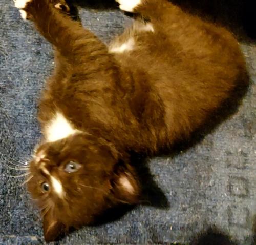 VideoCapture 20220809-133148