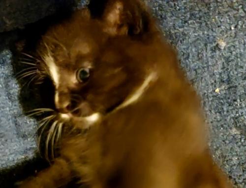 VideoCapture 20220809-133221